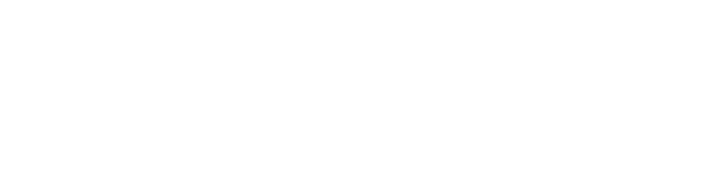 De jongens van de Branding